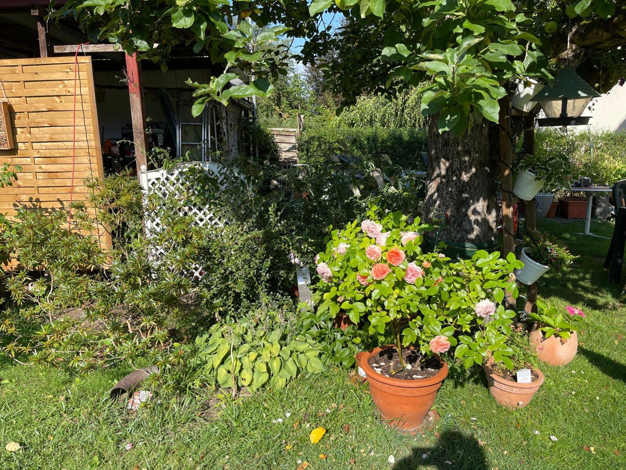 Claudias Apartment - 20 Minuten Bis Messe Nuernberg מראה חיצוני תמונה