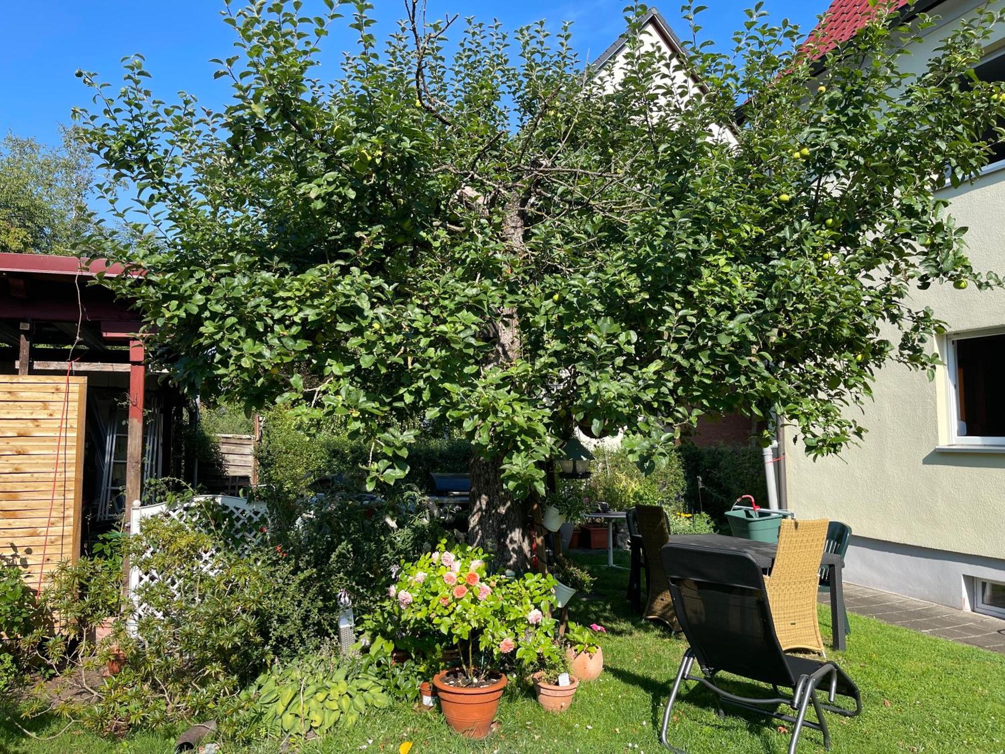 Claudias Apartment - 20 Minuten Bis Messe Nuernberg מראה חיצוני תמונה